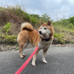 ５月２６日♪