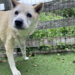 ４月２４日♪