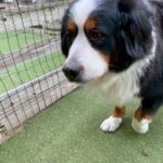 賑やかです♪