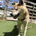 今日は暑い１日でした♪
