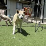 ５月１３日♪