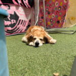 ５月２７日♪