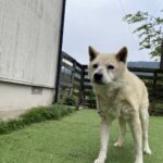 今日はお外に出れて良かったです♪