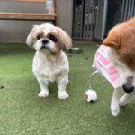 今日は雨〜