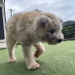 晴れのち大雨のち霧(>_<)