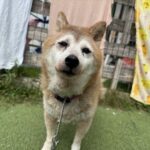 ７月２２日♪