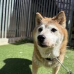 ８月２６日♪
