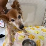 ８月３１日♪