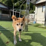 ９月スタート！！