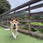 ９月２６日♪