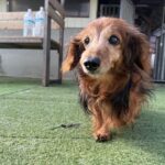 １０月６日♪