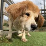 寒い１日でした( ´∀｀)