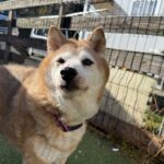 １１月スタート！