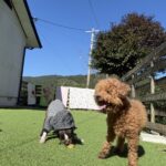 皆んなで日向ぼっこ♪