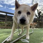 １１月１３日♪