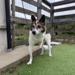 ミキちゃんお預かり♪