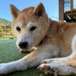 １１月２３日♪