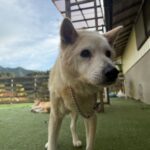 １１月２５日♪