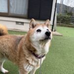 １２月スタート！