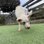 寒すぎます( T_T)