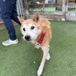 １２月１０日♪