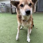 ゴンくんお預かり♪