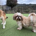 １２月１６日♪