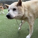 １２月２１日♪