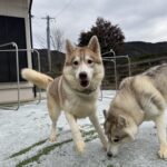 良いお年をお迎えくださいm(_ _)m