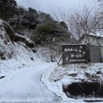 あけましておめでとうございます♪