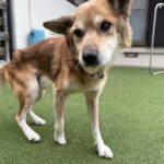 今日はそこまで寒くなくて良かったです♪