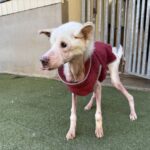 久しぶりの晴れ♪