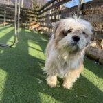 リンくんお預かり♪