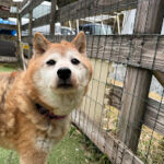 ２月の終わり♪