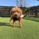 暖かくなったり、まだ寒かったり、、、