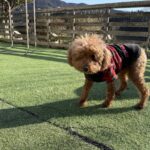 すっかり春ですね！