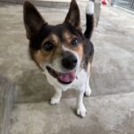 今日は１日、雨ー( ´∀｀)