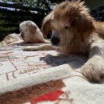 気持ちの良い晴れ♪