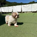 皆んなで日向ぼっこ♪