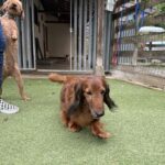 雨のち曇り♪