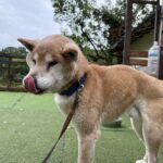 ５月２７日♪