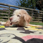 良いお天気♪