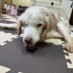 ６月２３日♪