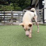 ７月スタート！