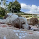 ７月２２日♪