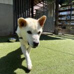 ７月３０日！