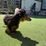 今日も暑い１日♪